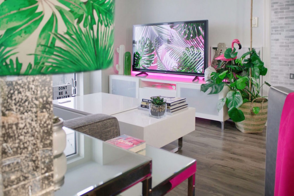 apartment-books-cactus-1046639-1-1200×800